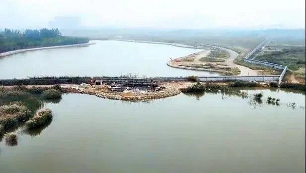 樊村湿地公园实景图 2.jpg